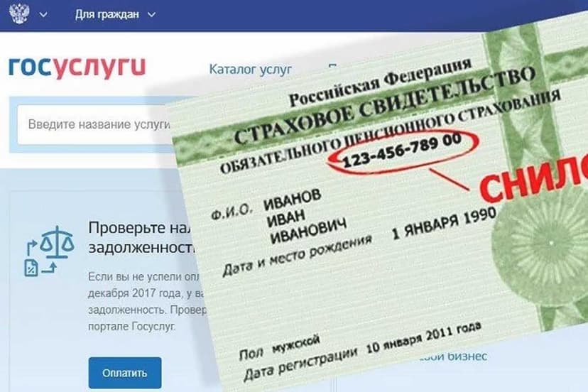 СНИЛС и ГОСУСЛУГИ для иностранных граждан